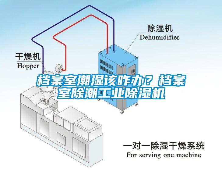 檔案室潮濕該咋辦？檔案室除潮工業(yè)除濕機