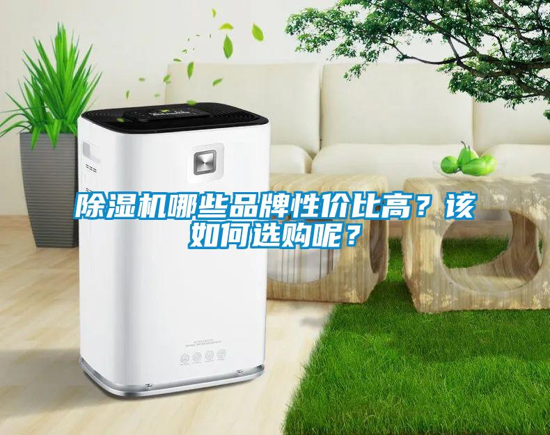 除濕機哪些品牌性?xún)r(jià)比高？該如何選購呢？