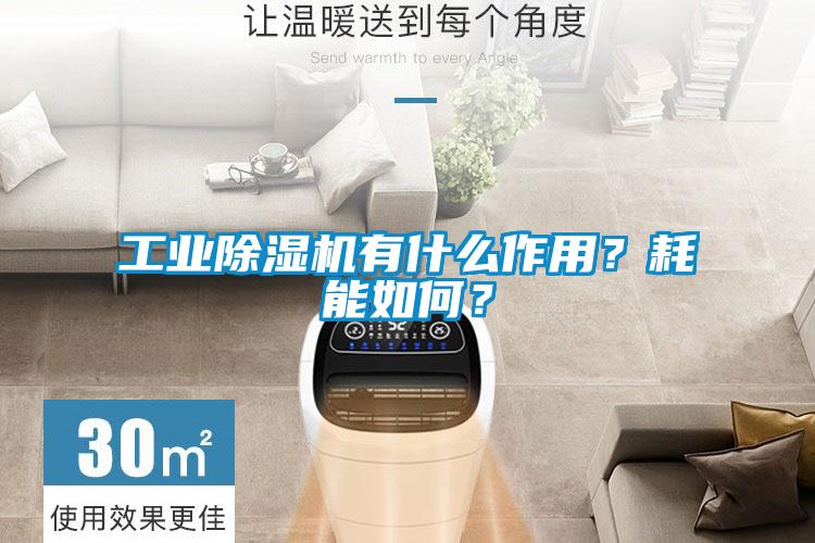 工業(yè)除濕機有什么作用？耗能如何？