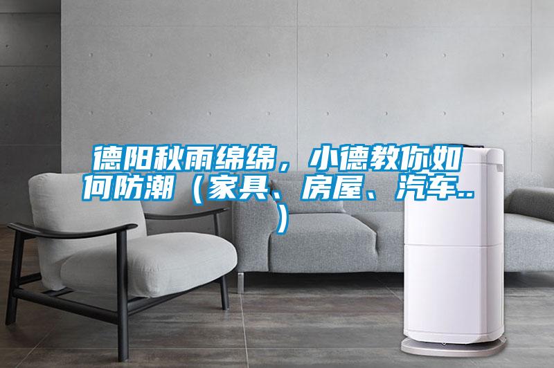 德陽(yáng)秋雨綿綿，小德教你如何防潮（家具、房屋、汽車(chē)..）