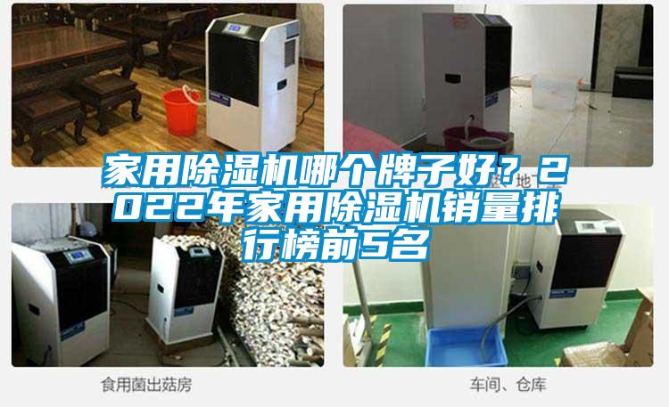 家用除濕機哪個(gè)牌子好？2022年家用除濕機銷(xiāo)量排行榜前5名
