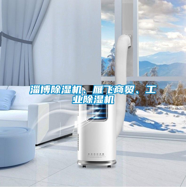 淄博除濕機、雁飛商貿、工業(yè)除濕機