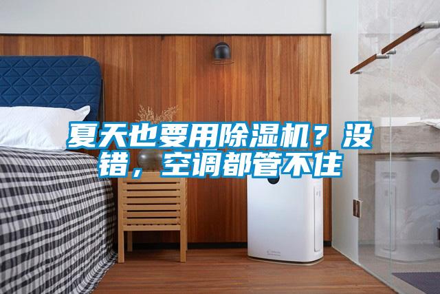 夏天也要用除濕機？沒(méi)錯，空調都管不住