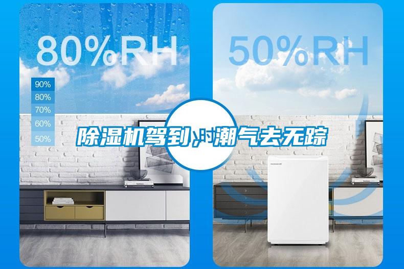 除濕機駕到，潮氣去無(wú)蹤