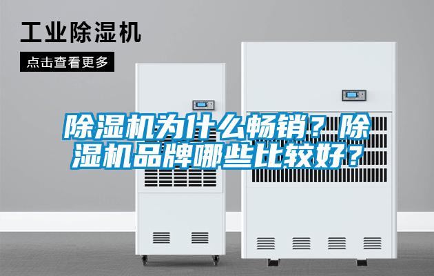 除濕機為什么暢銷(xiāo)？除濕機品牌哪些比較好？