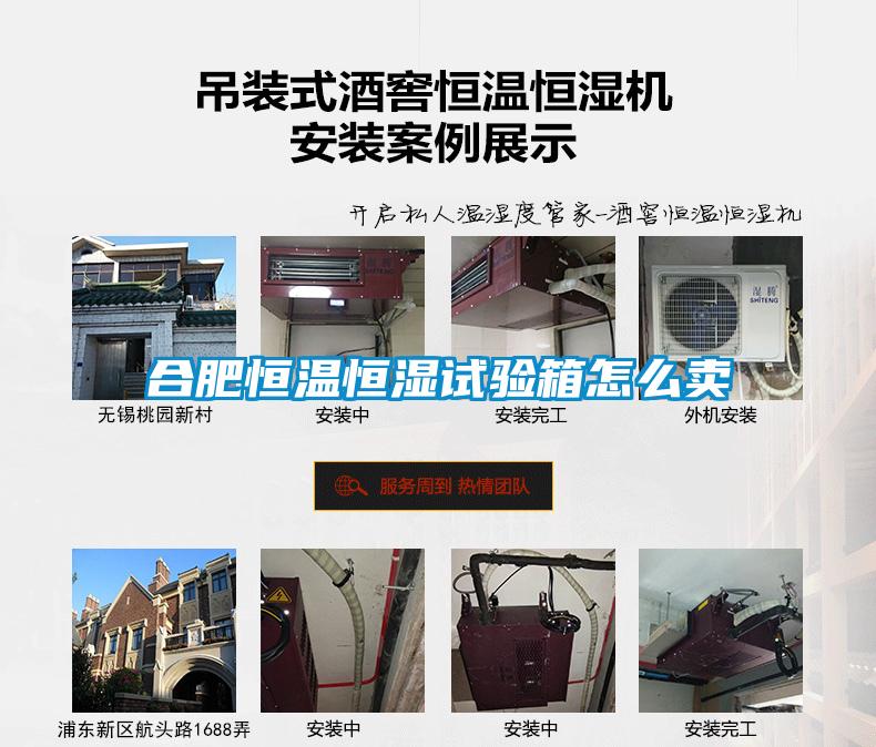 合肥恒溫恒濕試驗箱怎么賣(mài)