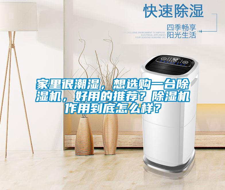家里很潮濕，想選購一臺除濕機，好用的推薦？除濕機作用到底怎么樣？