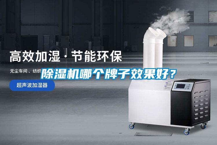 除濕機哪個(gè)牌子效果好？