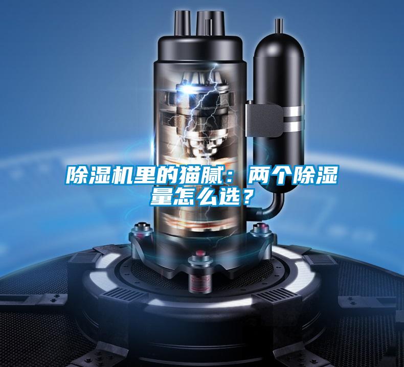 除濕機里的貓膩：兩個(gè)除濕量怎么選？