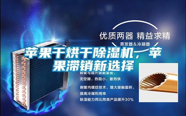 蘋(píng)果干烘干除濕機，蘋(píng)果滯銷(xiāo)新選擇