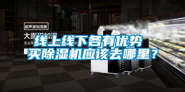 線(xiàn)上線(xiàn)下各有優(yōu)勢 買(mǎi)除濕機應該去哪里？