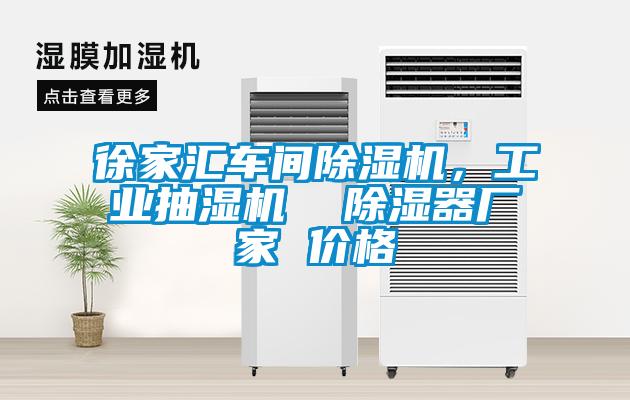 徐家匯車(chē)間除濕機，工業(yè)抽濕機  除濕器廠(chǎng)家 價(jià)格