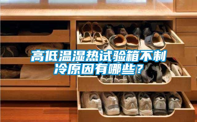高低溫濕熱試驗箱不制冷原因有哪些？