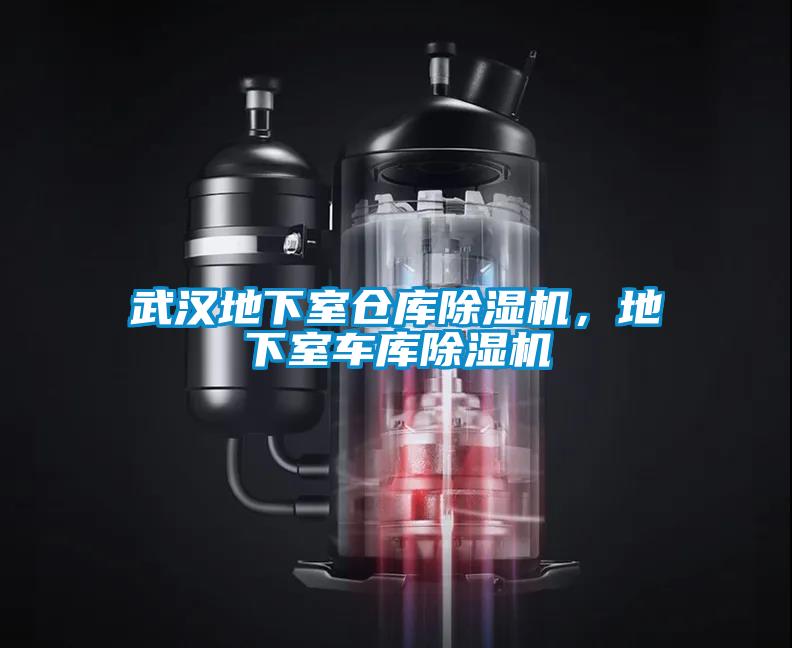 武漢地下室倉庫除濕機，地下室車(chē)庫除濕機