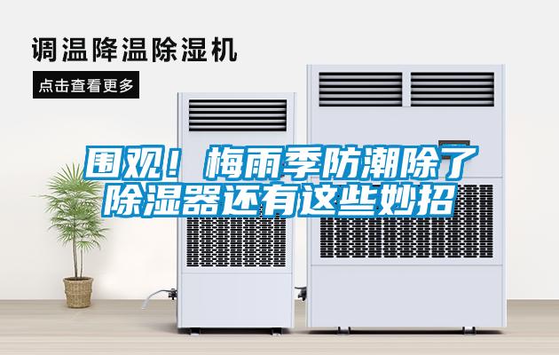 圍觀(guān)！梅雨季防潮除了除濕器還有這些妙招