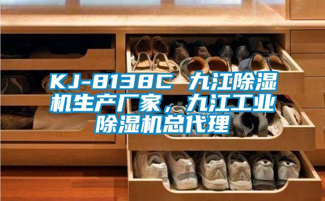 KJ-8138C 九江除濕機生產(chǎn)廠(chǎng)家，九江工業(yè)除濕機總代理