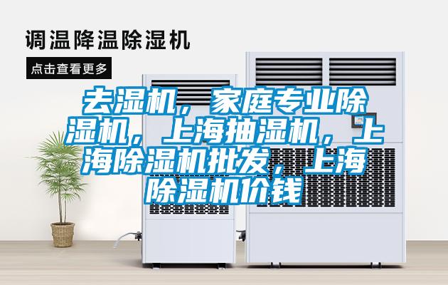 去濕機，家庭專(zhuān)業(yè)除濕機，上海抽濕機，上海除濕機批發(fā)，上海除濕機價(jià)錢(qián)