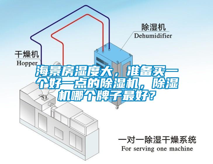 海景房濕度大，準備買(mǎi)一個(gè)好一點(diǎn)的除濕機，除濕機哪個(gè)牌子最好？