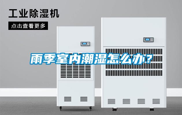 雨季室內潮濕怎么辦？