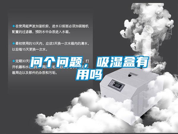 問(wèn)個(gè)問(wèn)題，吸濕盒有用嗎