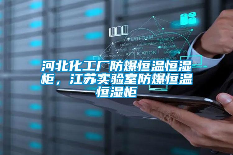 河北化工廠(chǎng)防爆恒溫恒濕柜，江蘇實(shí)驗室防爆恒溫恒濕柜