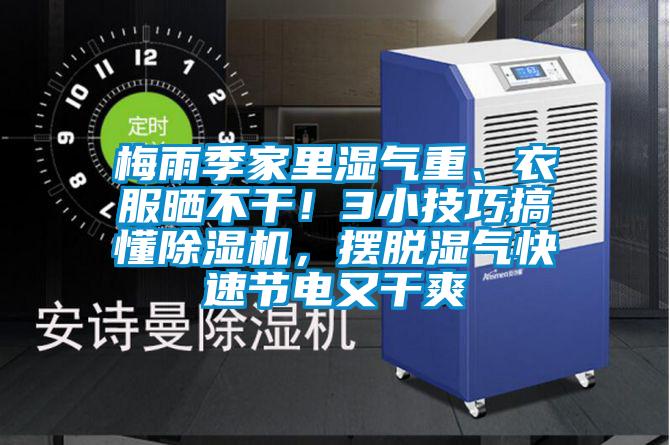梅雨季家里濕氣重、衣服曬不干！3小技巧搞懂除濕機，擺脫濕氣快速節電又干爽