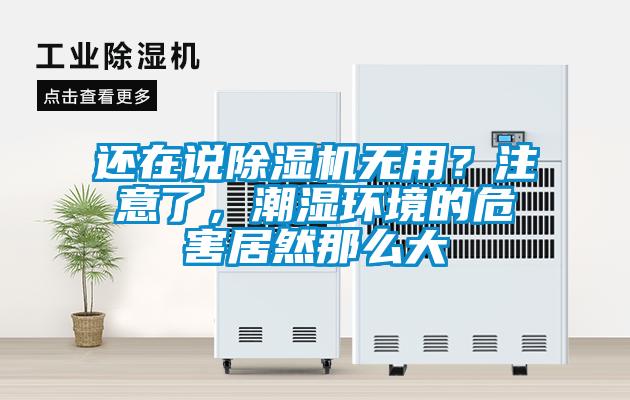 還在說(shuō)除濕機無(wú)用？注意了，潮濕環(huán)境的危害居然那么大