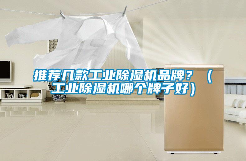 推薦幾款工業(yè)除濕機品牌？（工業(yè)除濕機哪個(gè)牌子好）