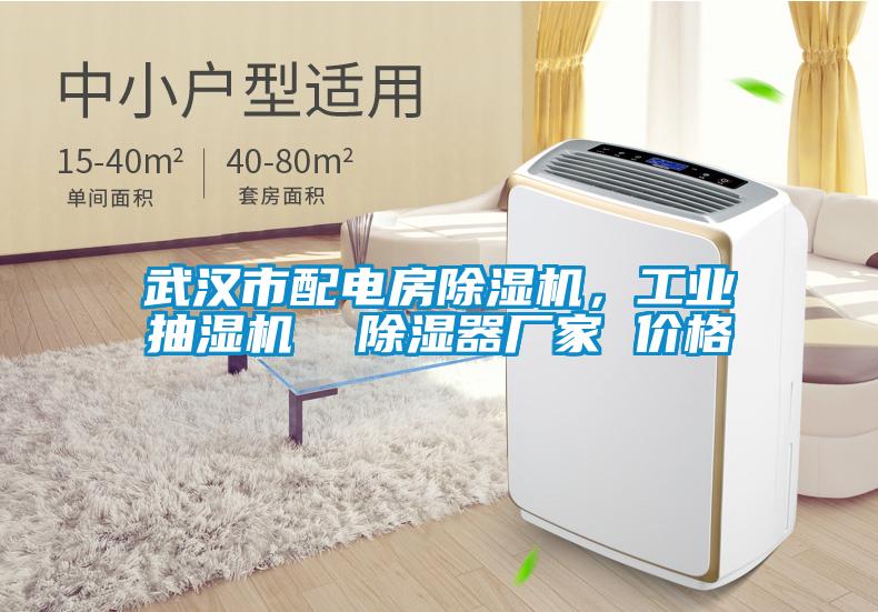 武漢市配電房除濕機，工業(yè)抽濕機  除濕器廠(chǎng)家 價(jià)格