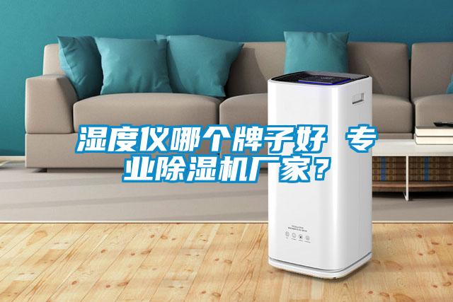 濕度儀哪個(gè)牌子好 專(zhuān)業(yè)除濕機廠(chǎng)家？
