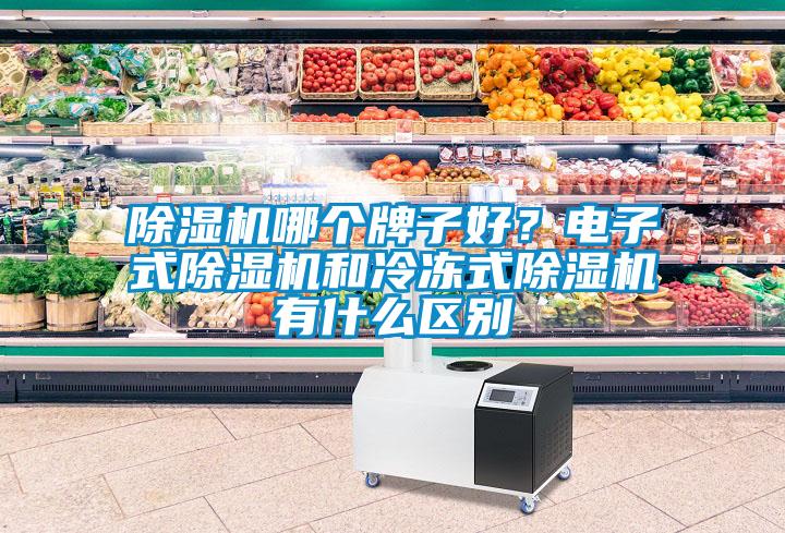 除濕機哪個(gè)牌子好？電子式除濕機和冷凍式除濕機有什么區別