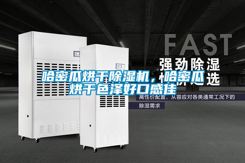 哈密瓜烘干除濕機，哈密瓜烘干色澤好口感佳