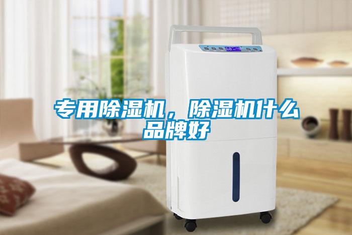 專(zhuān)用除濕機，除濕機什么品牌好