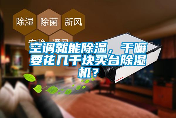 空調就能除濕，干嘛要花幾千塊買(mǎi)臺除濕機？