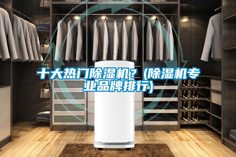 十大熱門(mén)除濕機？(除濕機專(zhuān)業(yè)品牌排行)