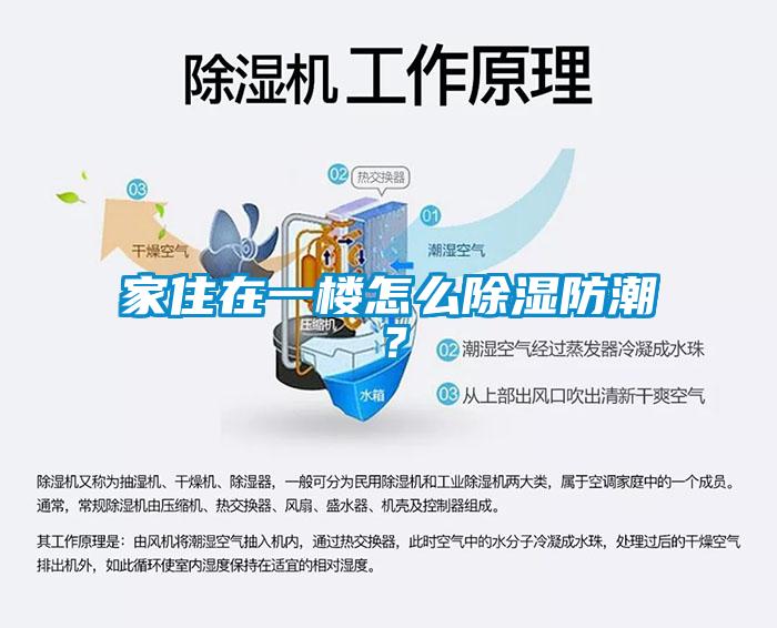 家住在一樓怎么除濕防潮？