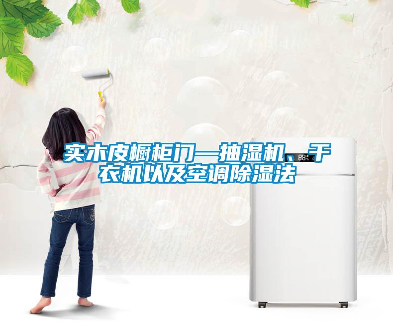 實(shí)木皮櫥柜門(mén)—抽濕機、干衣機以及空調除濕法