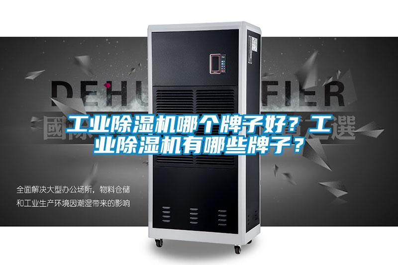 工業(yè)除濕機哪個(gè)牌子好？工業(yè)除濕機有哪些牌子？