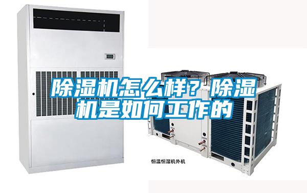 除濕機怎么樣？除濕機是如何工作的