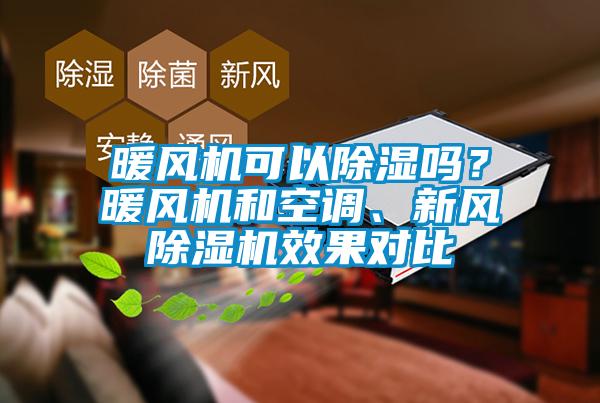 暖風(fēng)機可以除濕嗎？暖風(fēng)機和空調、新風(fēng)除濕機效果對比