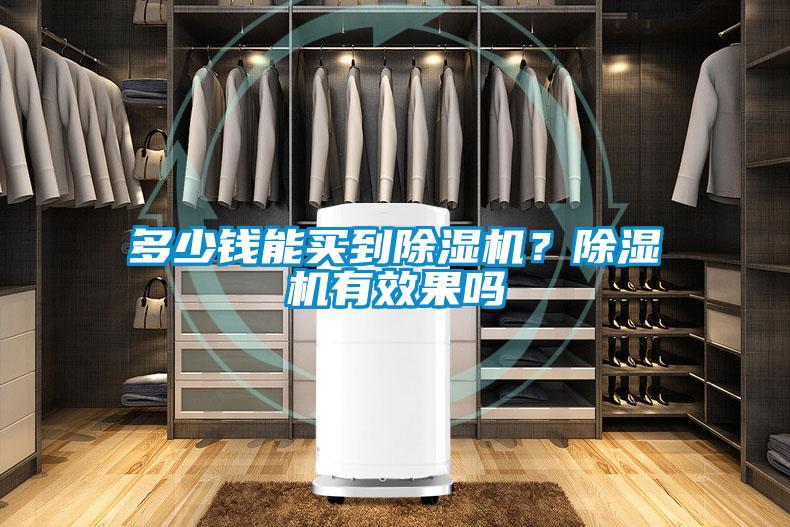 多少錢(qián)能買(mǎi)到除濕機？除濕機有效果嗎