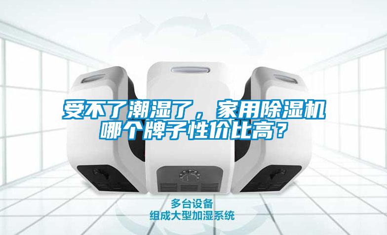 受不了潮濕了，家用除濕機哪個(gè)牌子性?xún)r(jià)比高？