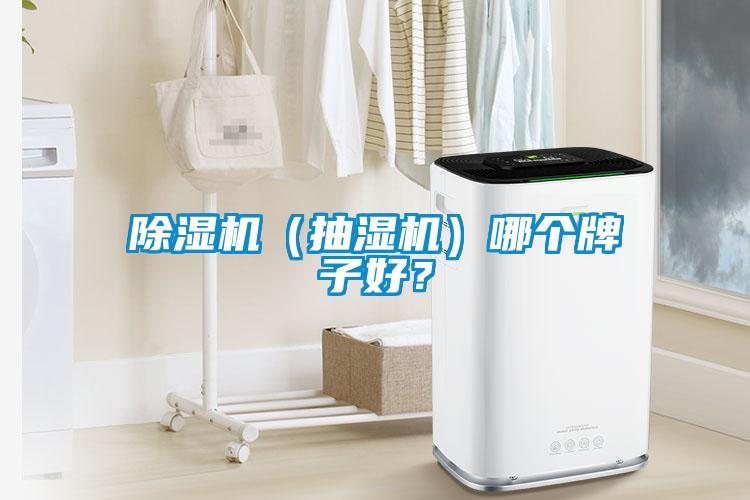 除濕機（抽濕機）哪個(gè)牌子好？