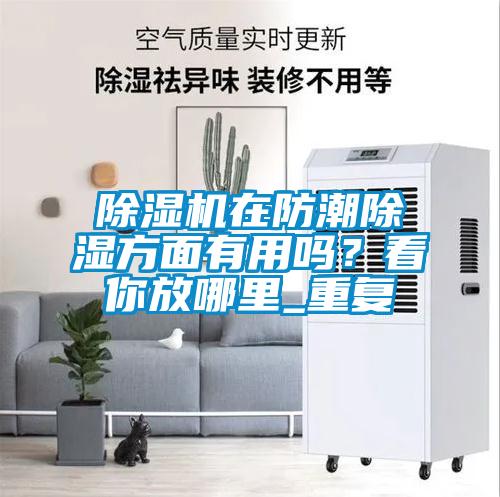 除濕機在防潮除濕方面有用嗎？看你放哪里_重復