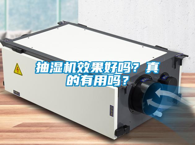 抽濕機效果好嗎？真的有用嗎？