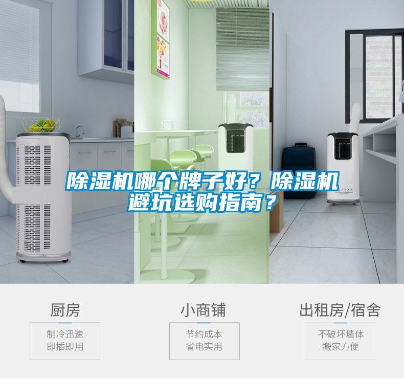除濕機哪個(gè)牌子好？除濕機避坑選購指南？
