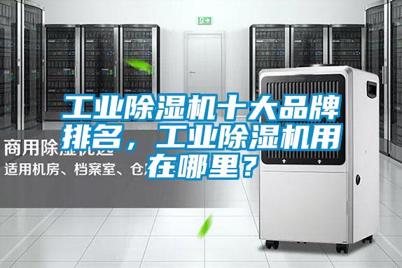 工業(yè)除濕機十大品牌排名，工業(yè)除濕機用在哪里？