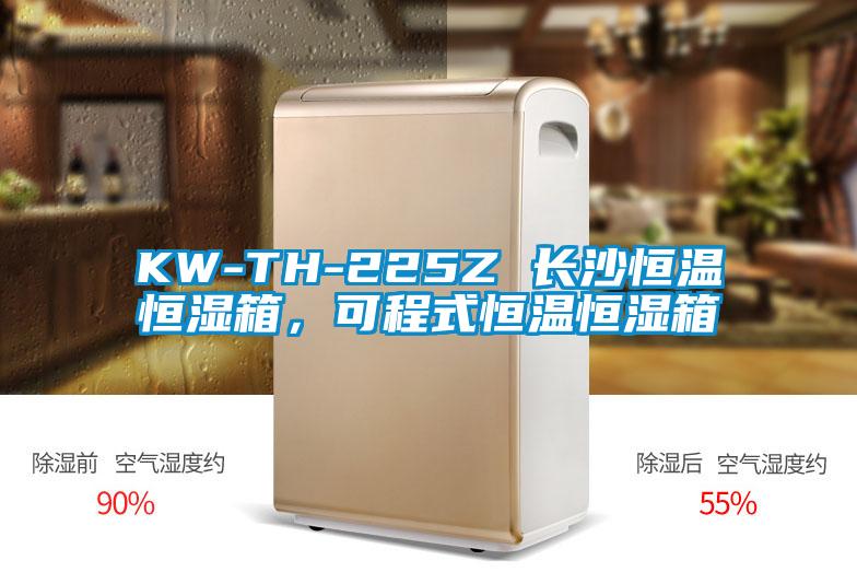 KW-TH-225Z 長(cháng)沙恒溫恒濕箱，可程式恒溫恒濕箱