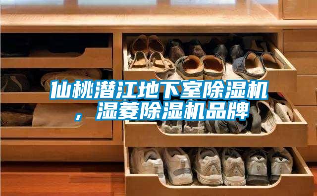 仙桃潛江地下室除濕機，濕菱除濕機品牌
