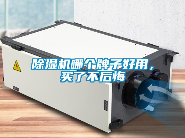除濕機哪個(gè)牌子好用，買(mǎi)了不后悔